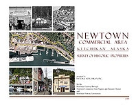 Newtown Survey